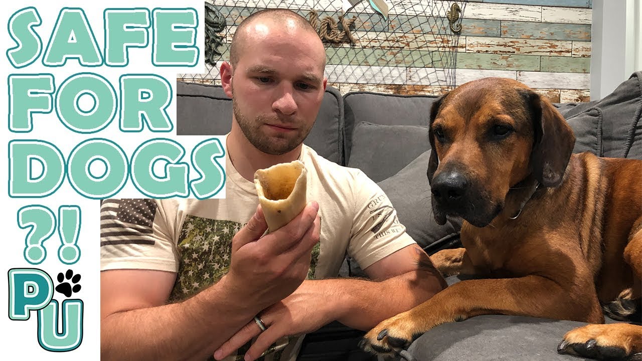 THE TRUTH ABOUT MARROW BONES