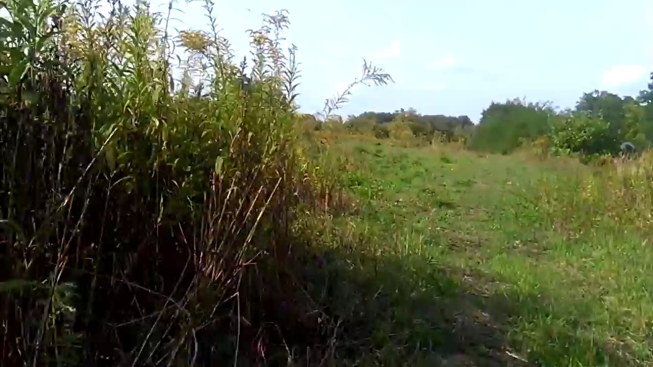 Wycieczka rowerowa - śladem torów w Zabrzu-Mikulczycach, kolej piaskowa