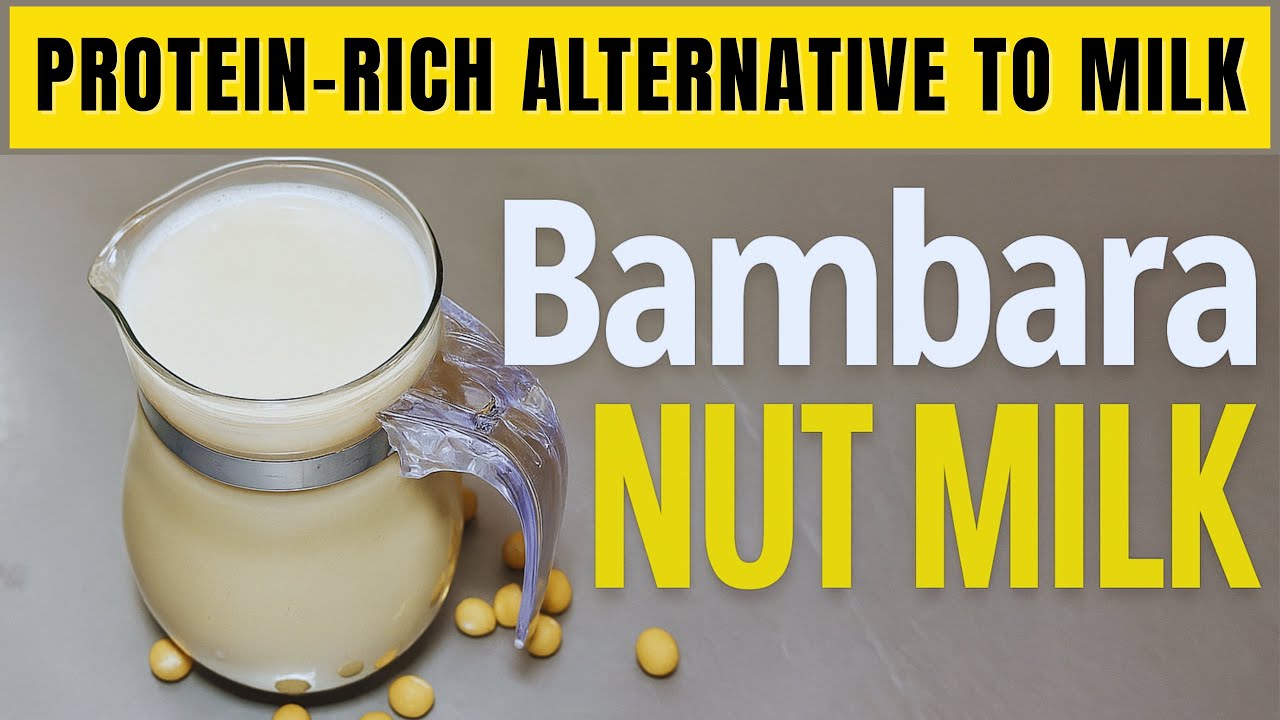 Homemade Bambara Nut Milk | BAMnut Dairy-Free & Protein-Rich Plant Milk