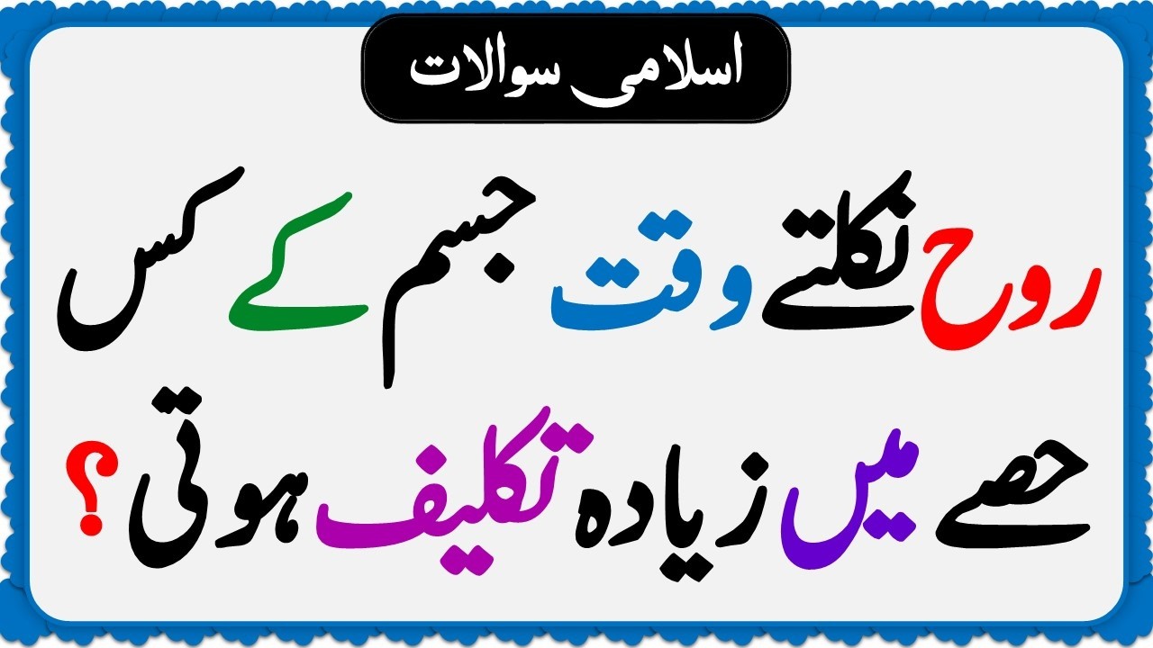 Islamic Common Sense Paheliyan in Urdu | Riddles in Hindi | Islamic General Knowledge Quiz Test #287