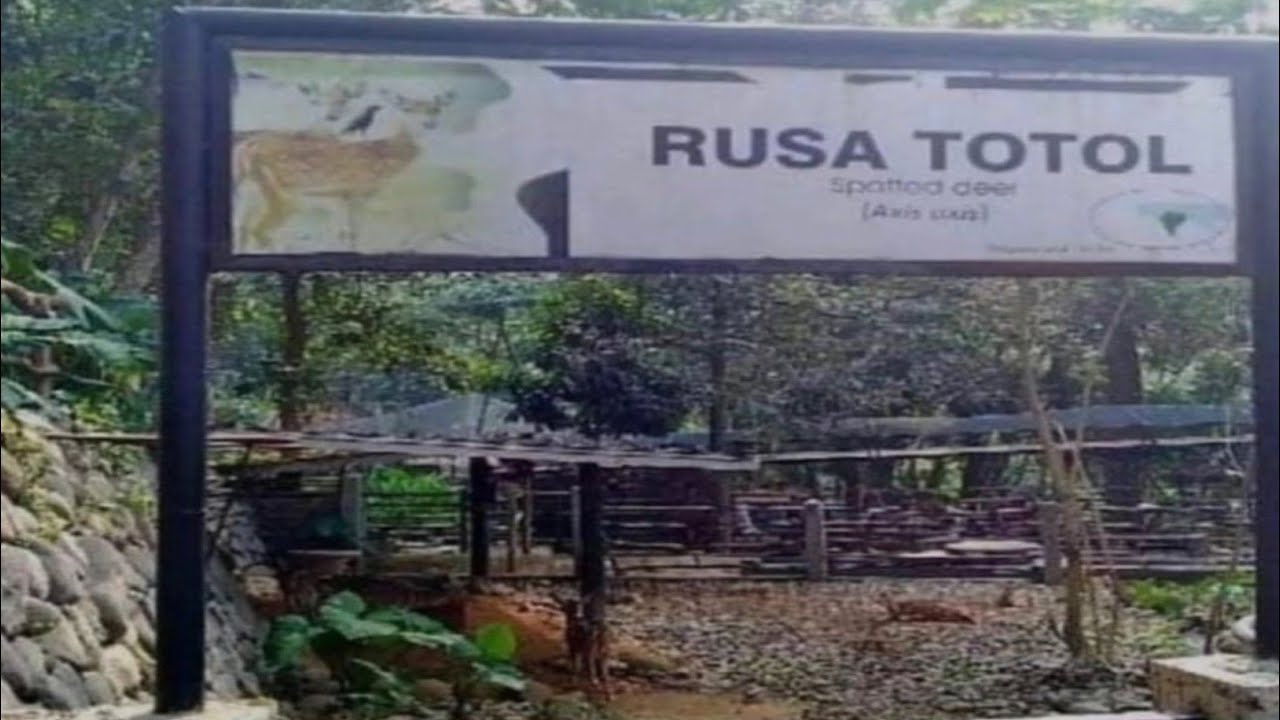 Top 5 Kebun Binatang