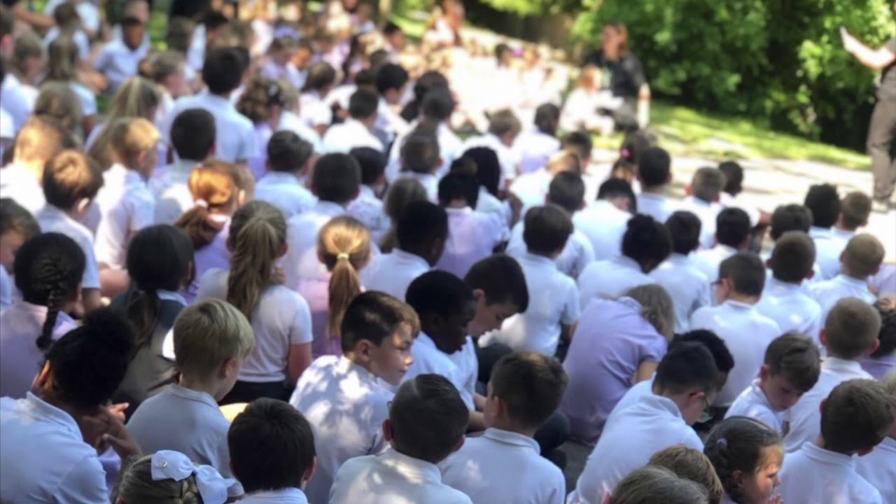 Wayfield Primary School Teaching Opportunity