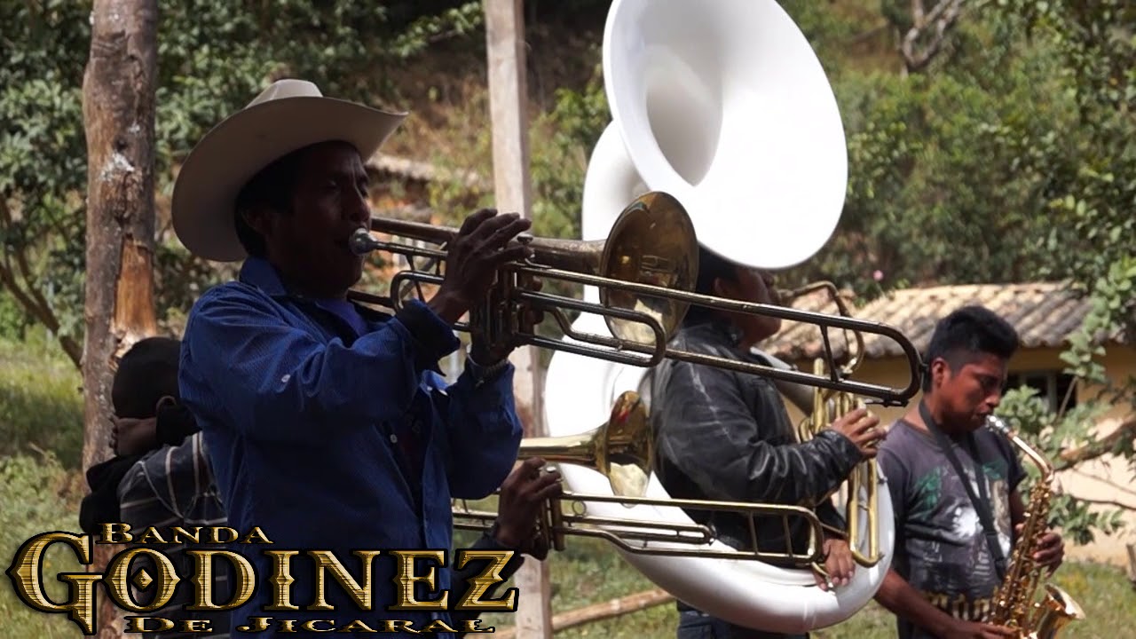 Fiesta patronal san Martín durazno banda godinez el jicaral
