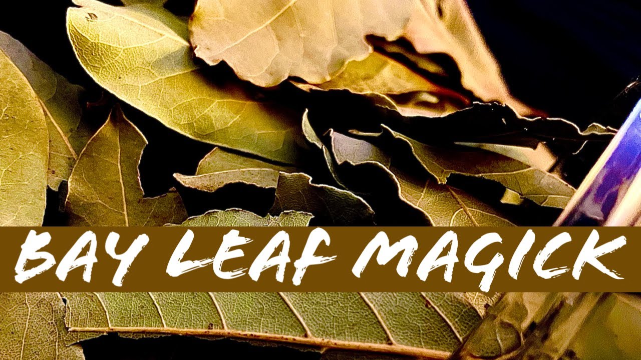 BAY LEAF MAGICK