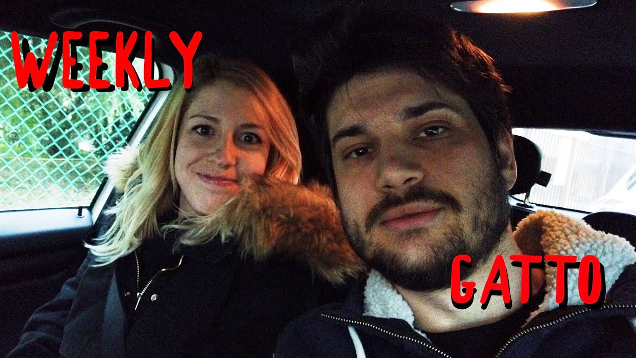 Weekly Gatto - San Valentino!