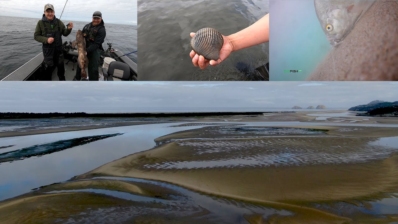 Oregon Coast Rockfish, Lingcod, Cockles & Perch