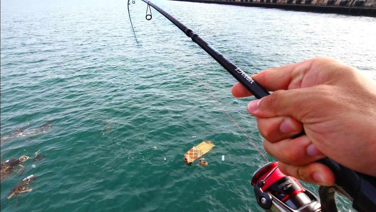 Shore Micro Jigging for Sagai Trevally in Urban Singapore City
