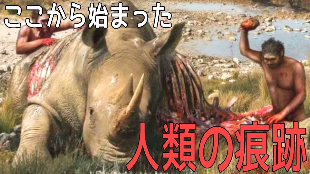 【進化の衝撃】人類の“最初の姿”があまりに意外すぎた！【ヒトの起源】