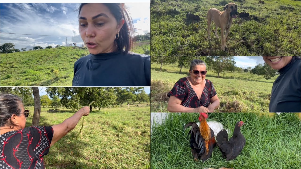 Foi um DESPERO só | Minha SOGRA veio ajudar | Achei que NÃO acabava | Ganhei PRESENTE da SOGRA