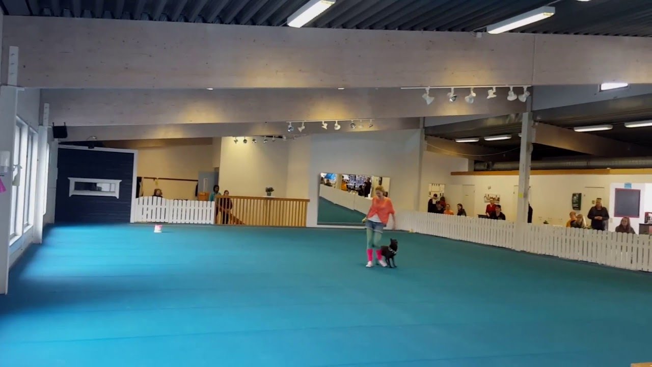 20160416 Lyra debut Freestyle klass 1 Vinst