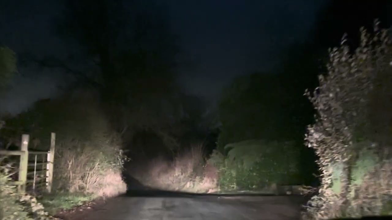 Night Adventure 1