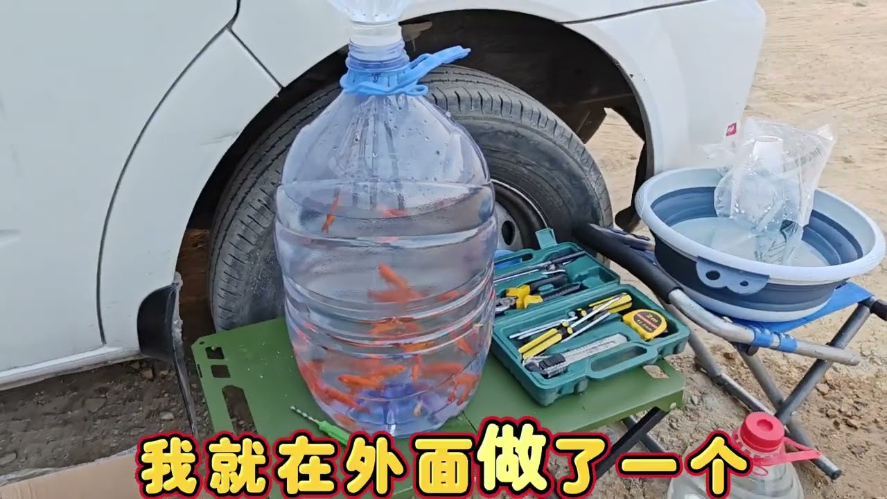 自驾人刷到网上可买金鱼还包邮，9块9买了45条制作简易活水循环系统！