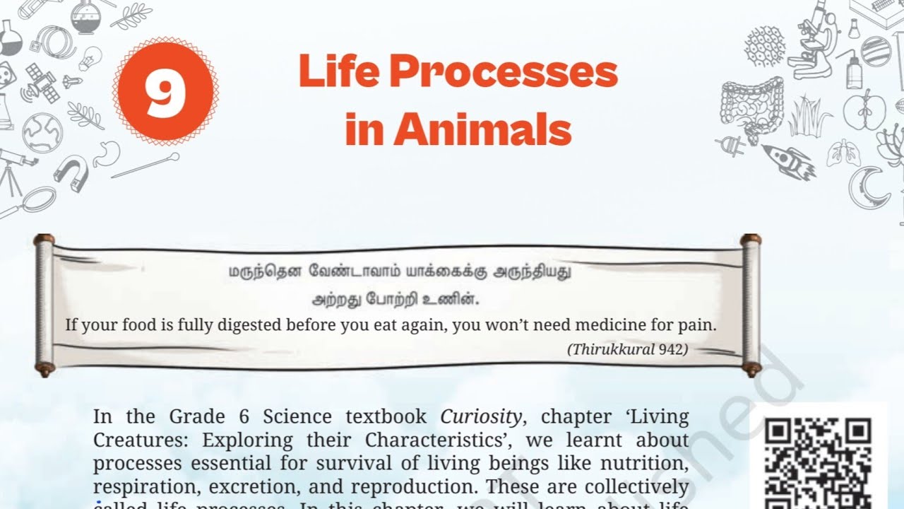 Class7 Science Ch-9 Life Processes in Animals full Chapter Detailed Explanation in hindi