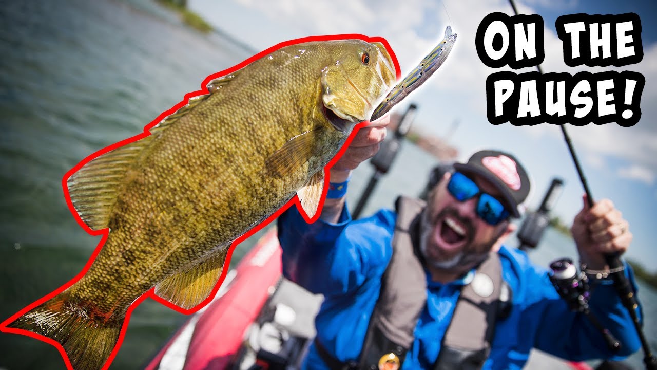 Smalljaw will MUNCH Your Jerkbait on the Pause!