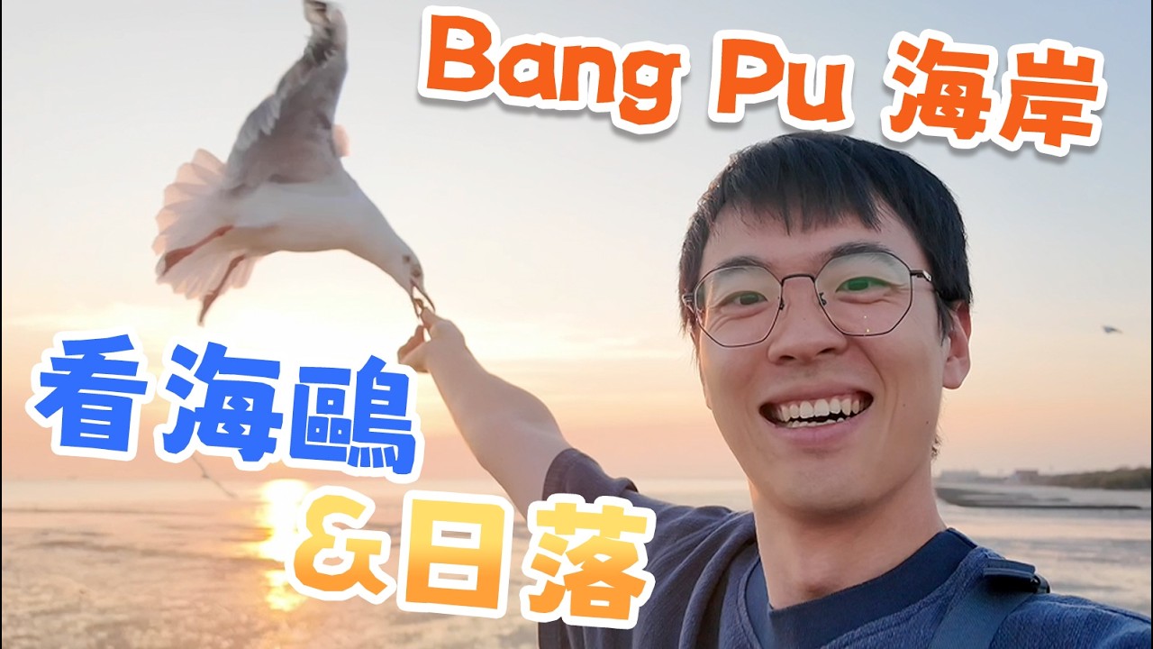 曼谷近郊限定！每年僅有5個月的小眾旅行體驗！上萬隻海鷗與絕美日落～曼谷涼季最不可錯過的行程！｜泰國攻略｜曼谷攻略｜包包在泰國｜海外生活｜
