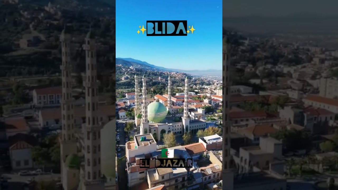Aziouz45 : Blida ALGERIA el Djaza&iuml;r 🇩🇿🇵🇸