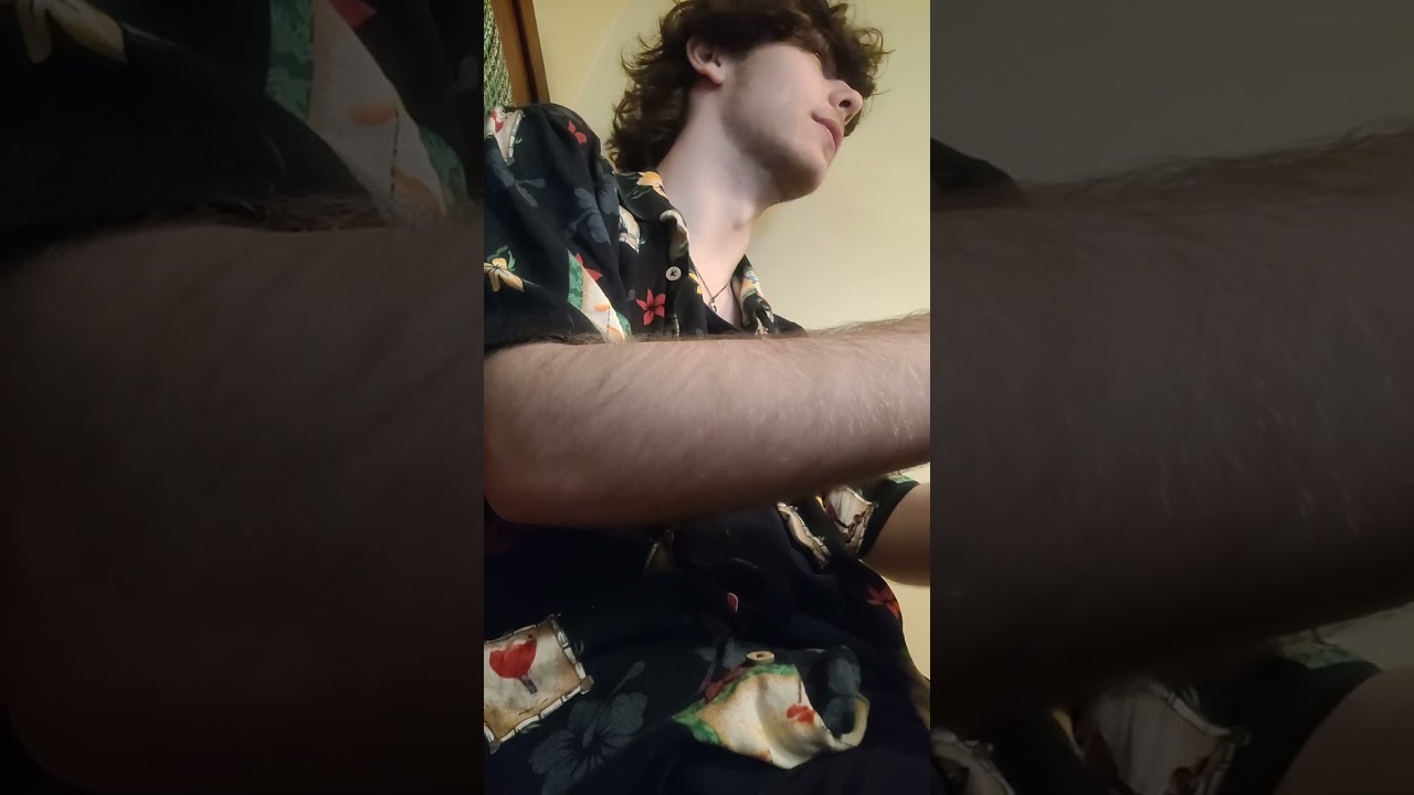 Disneyland Stream #3