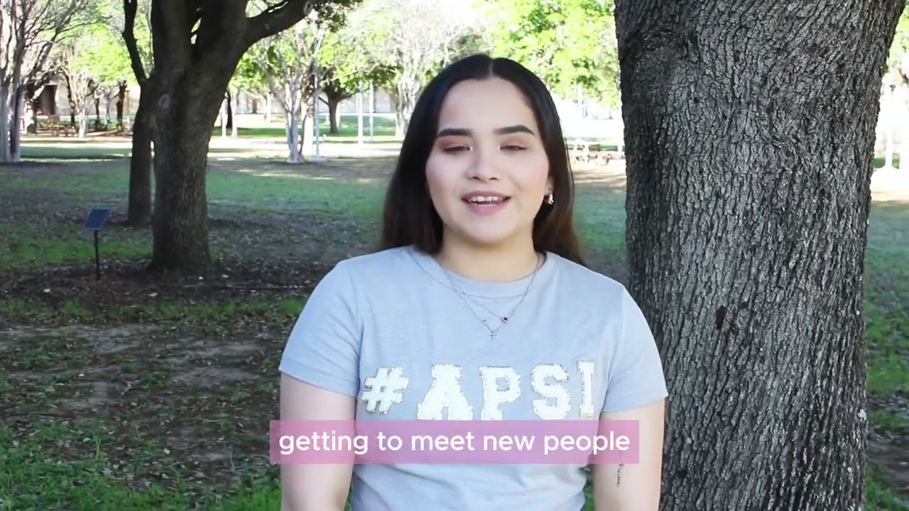 What is Greek Life?