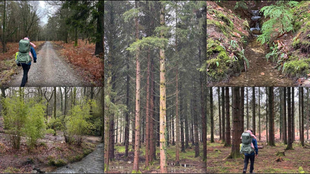 Come Walk With Us (ASMR Style...kind of) | Forest of Dean | Jamie & Izzy