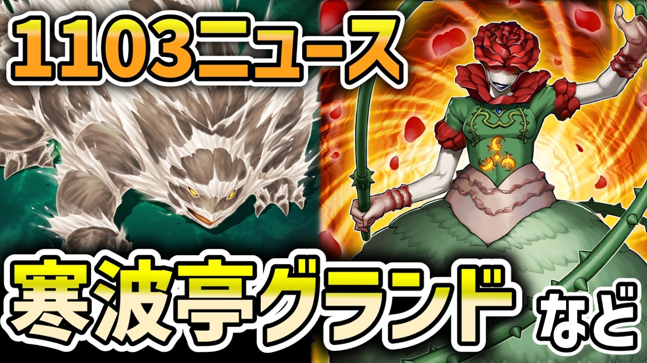 【1103環境】寒波亭CSグランドなど入賞デッキチェック【遊戯王ゲートボール】