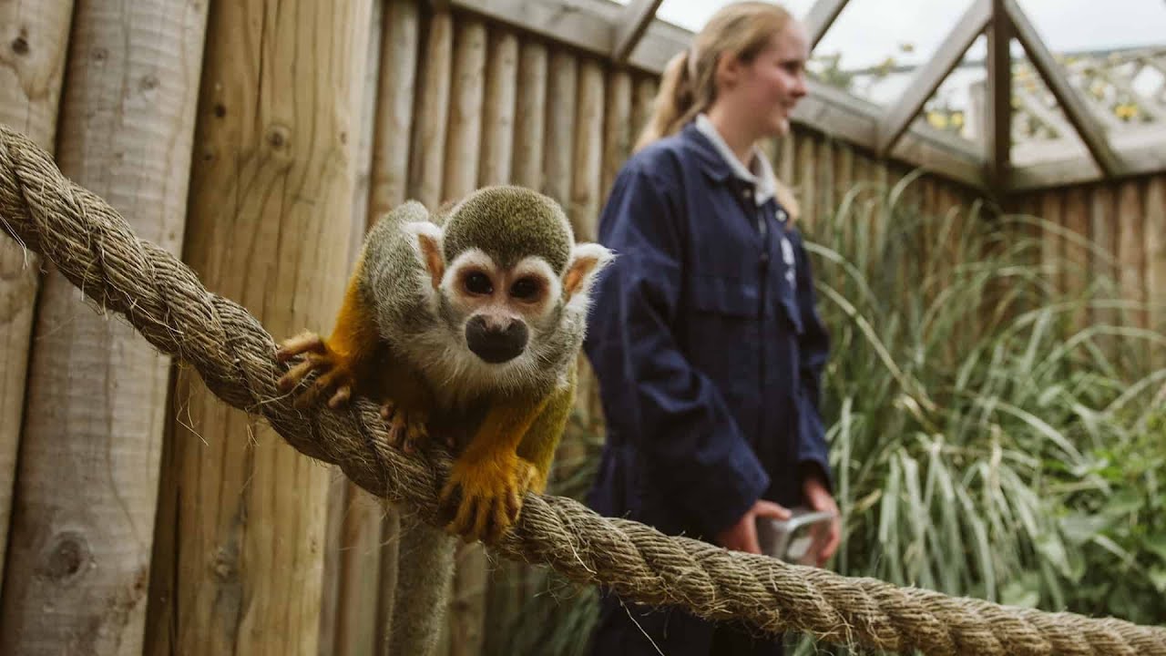 Animal Management at BCA