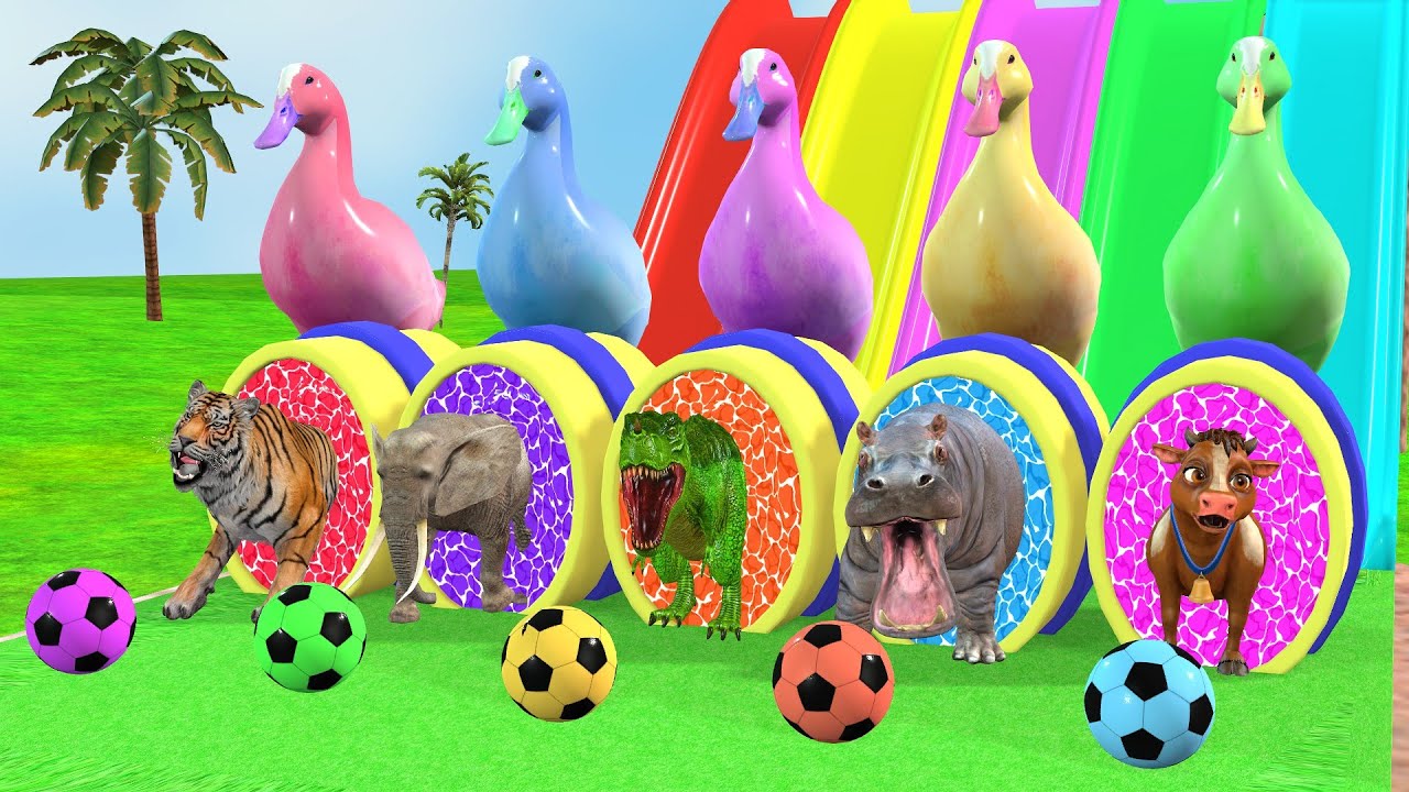 Long Slide Game With Lion Cow Tiger Hippo Elephant Animals my cr | 3d Funny Animal Fountain Crossing