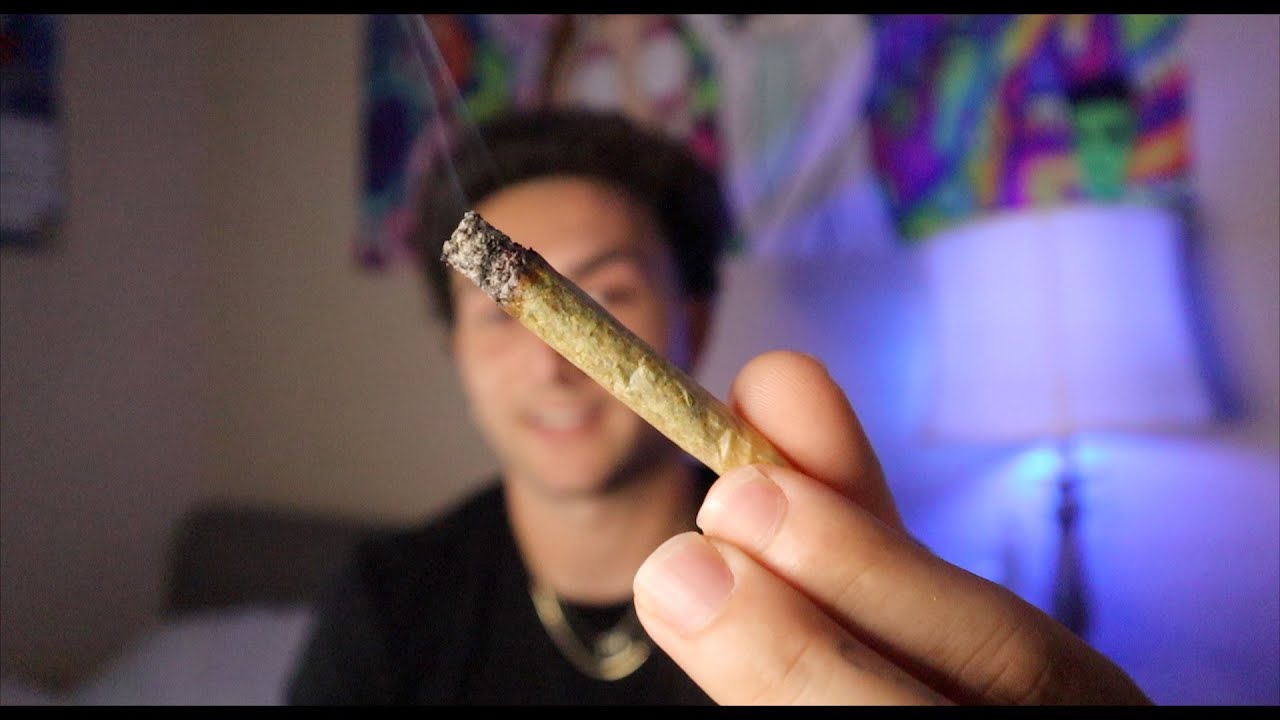 710 LABS NOODLE DOINK !!