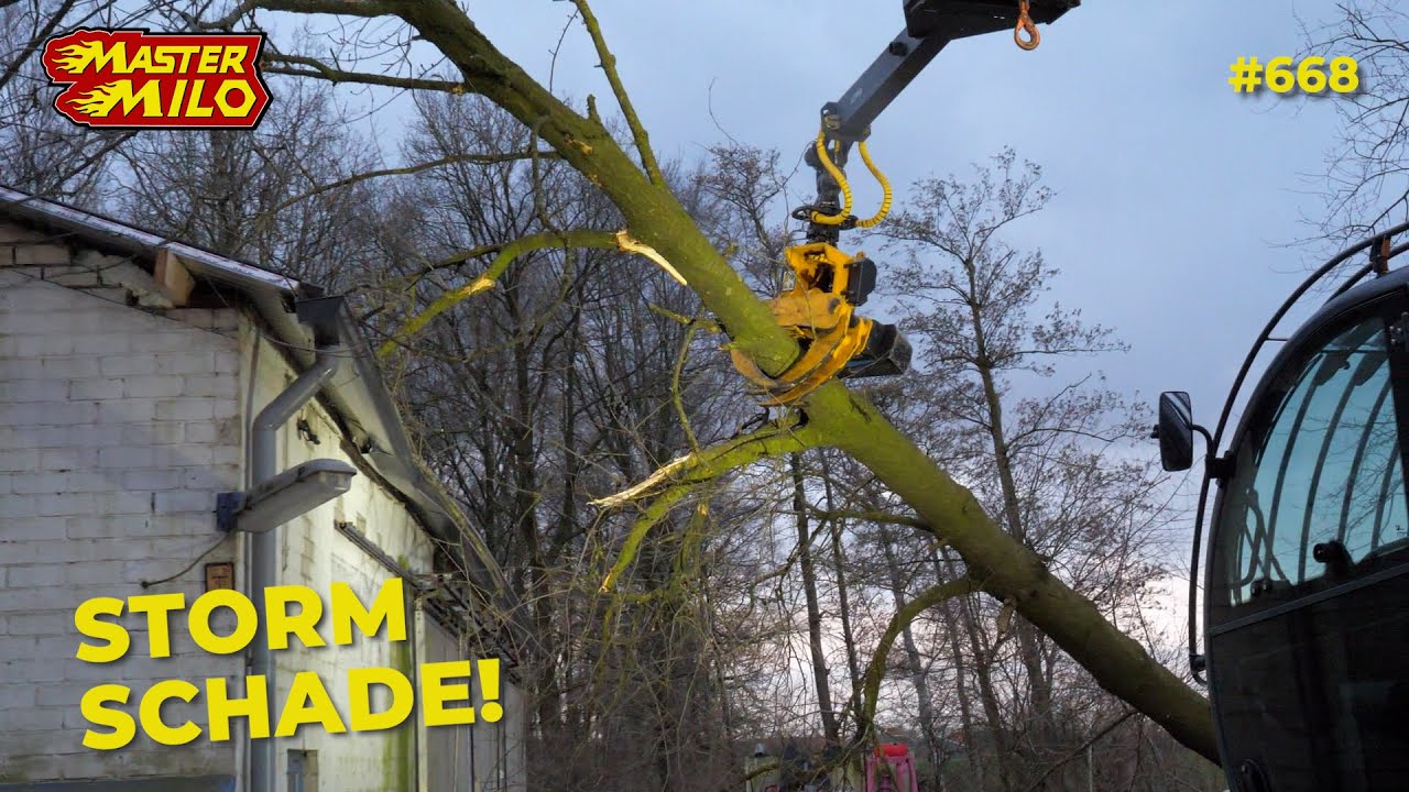 Storm schade bekijken! #668