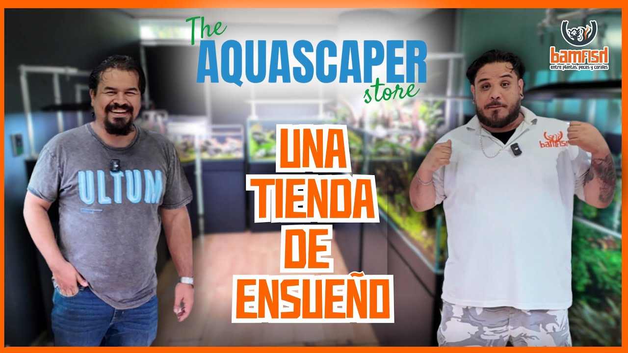 La MEJOR tienda de AQUASCAPING de MEXICO | The Aquascaper Store