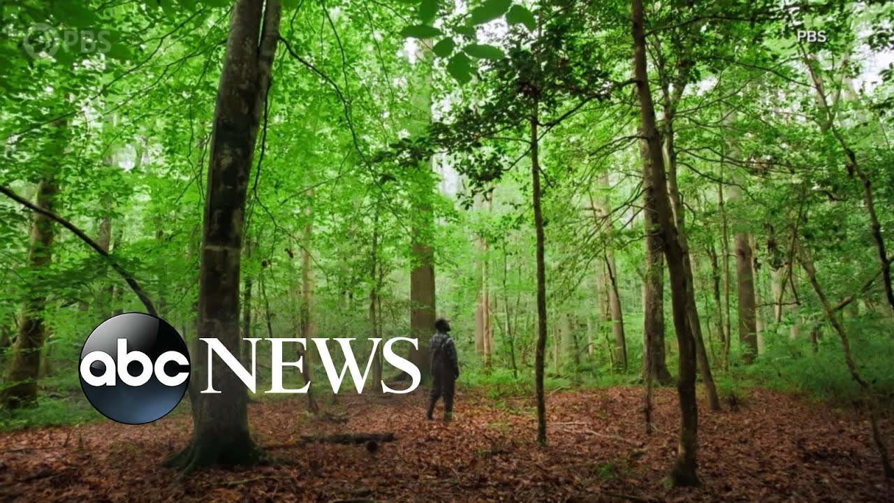 Exploring nature in &lsquo;America Outdoors&rsquo; l ABCNL