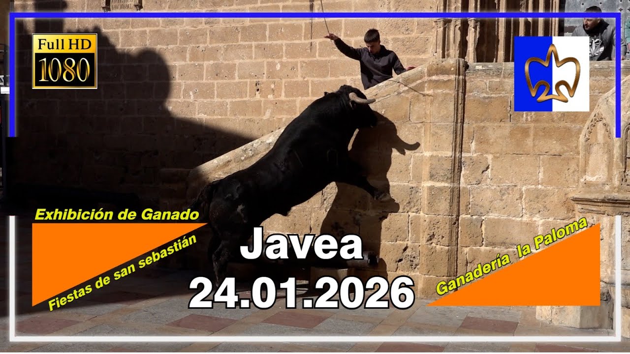 Javea 24▪️01▪️2026 ➡️ San sebastián ▪️ Ganadería la Paloma