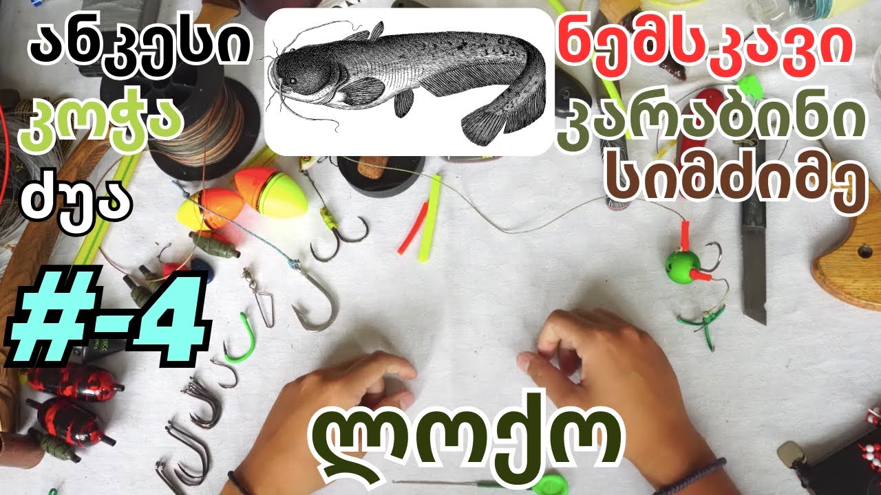 ლოქოზე თევზაობა საქართველოში #-4