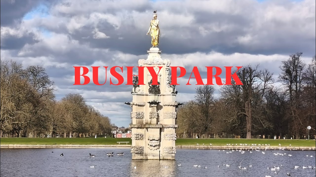 Bushy park, Hampton Court