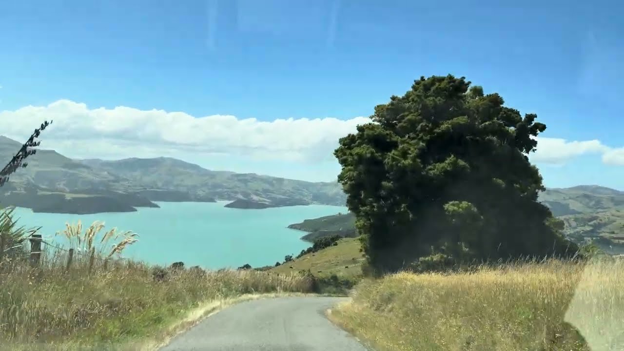 Akaroa Scenic view Trip 