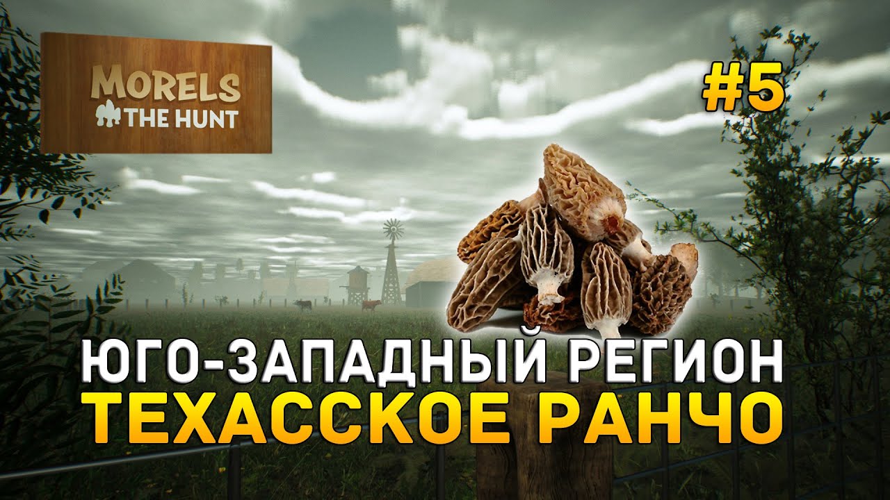 Юго-западный регион. Техасское ранчо - Morels: The Hunt #5
