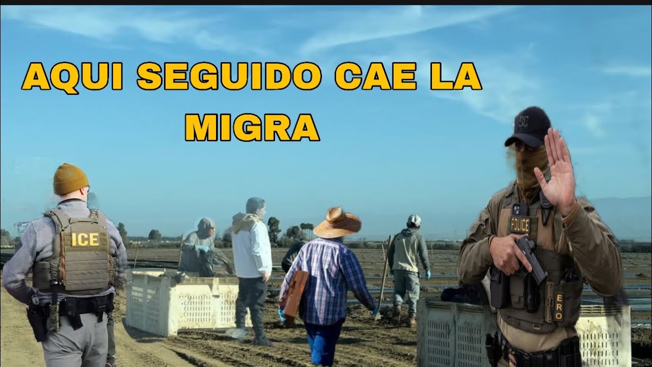LOS PAISANOS SE LA RIFAN /AQUI ES UNO LO DE LOS LUGARES DONDE MAS LLEGA INMIGRACION 