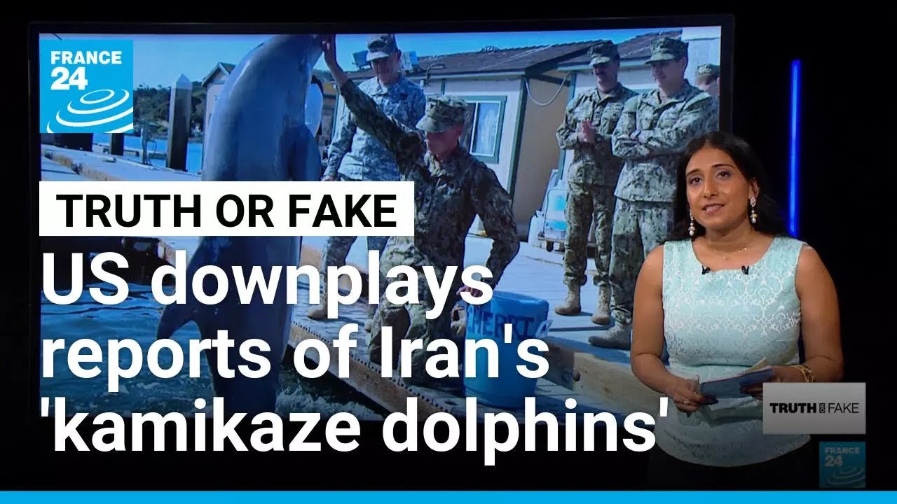 Could Iran use &lsquo;kamikaze dolphins&rsquo; against the US in the Strait of Hormuz? &bull; FRANCE 24 English
