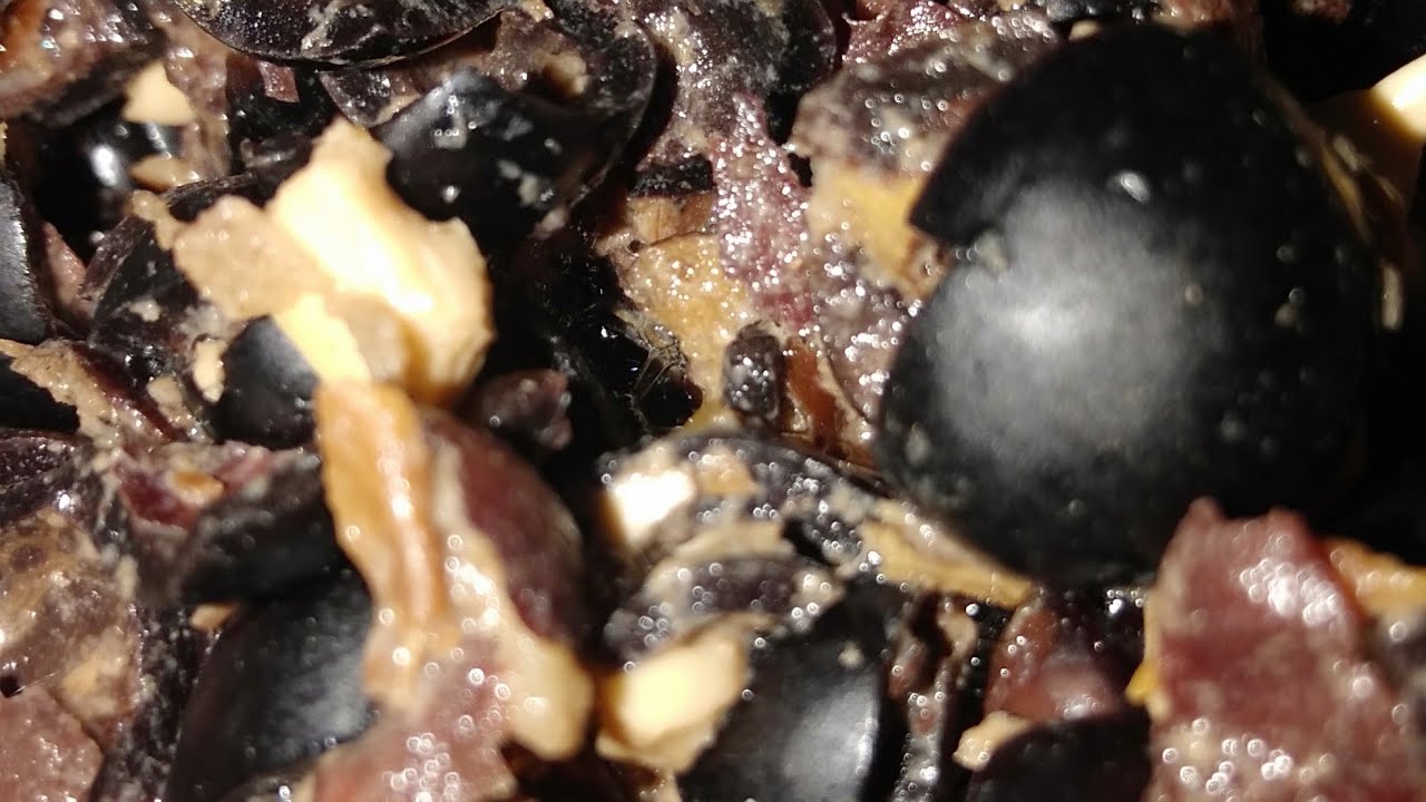 Soap nuts seeds wastage reuse like compost || Maimuna vlogs || 🧕#Shorts