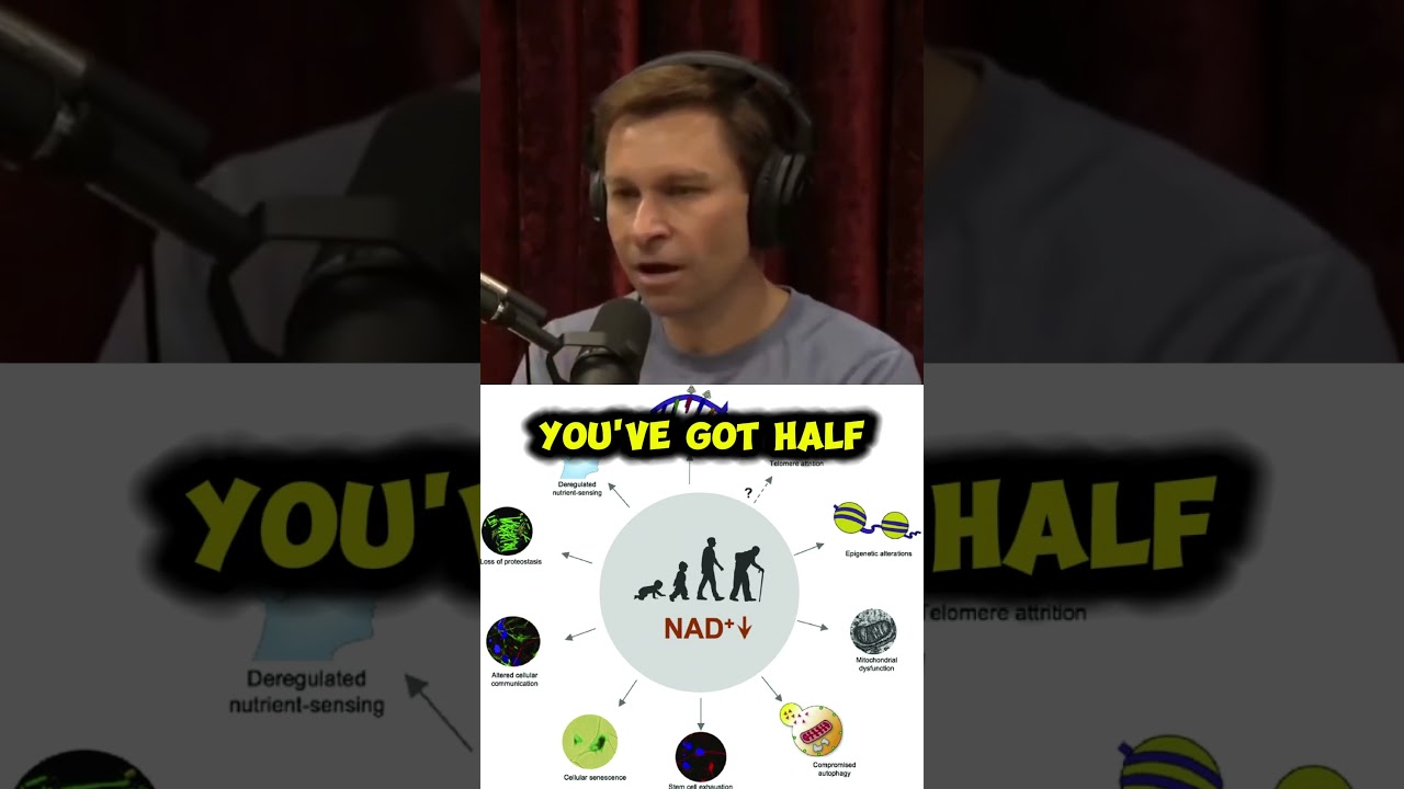 NAD Supplements: Boosting NAD and ATP for Anti Aging and Increase Lifespan