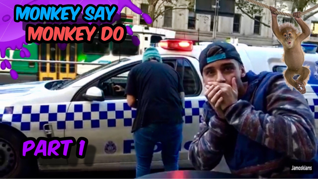 Monkey Say Monkey Do (part 1) *PUBLIC VIDEO*