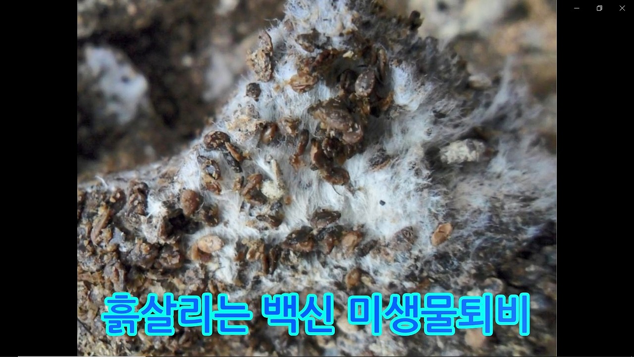 농사짓는 미생물ㅣ텃밭농사 퇴비 만들기