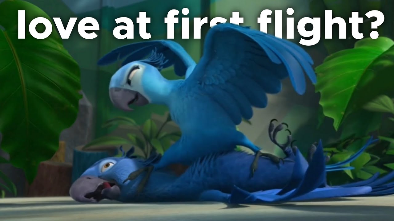 Blu and Jewel not exactly being *lovebirds* for 4 minutes straight 【Rio Project】