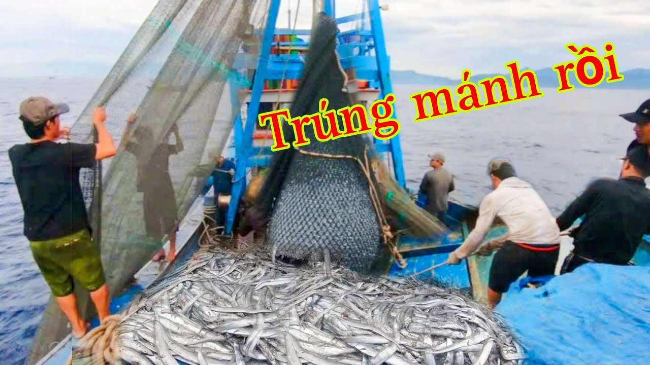 Ngư Dân ĐẠI LÃNH Trúng Mánh Gặp CÁ HỐ _Kéo Gĩa Lên TRẮNG Hết Cả Ghe