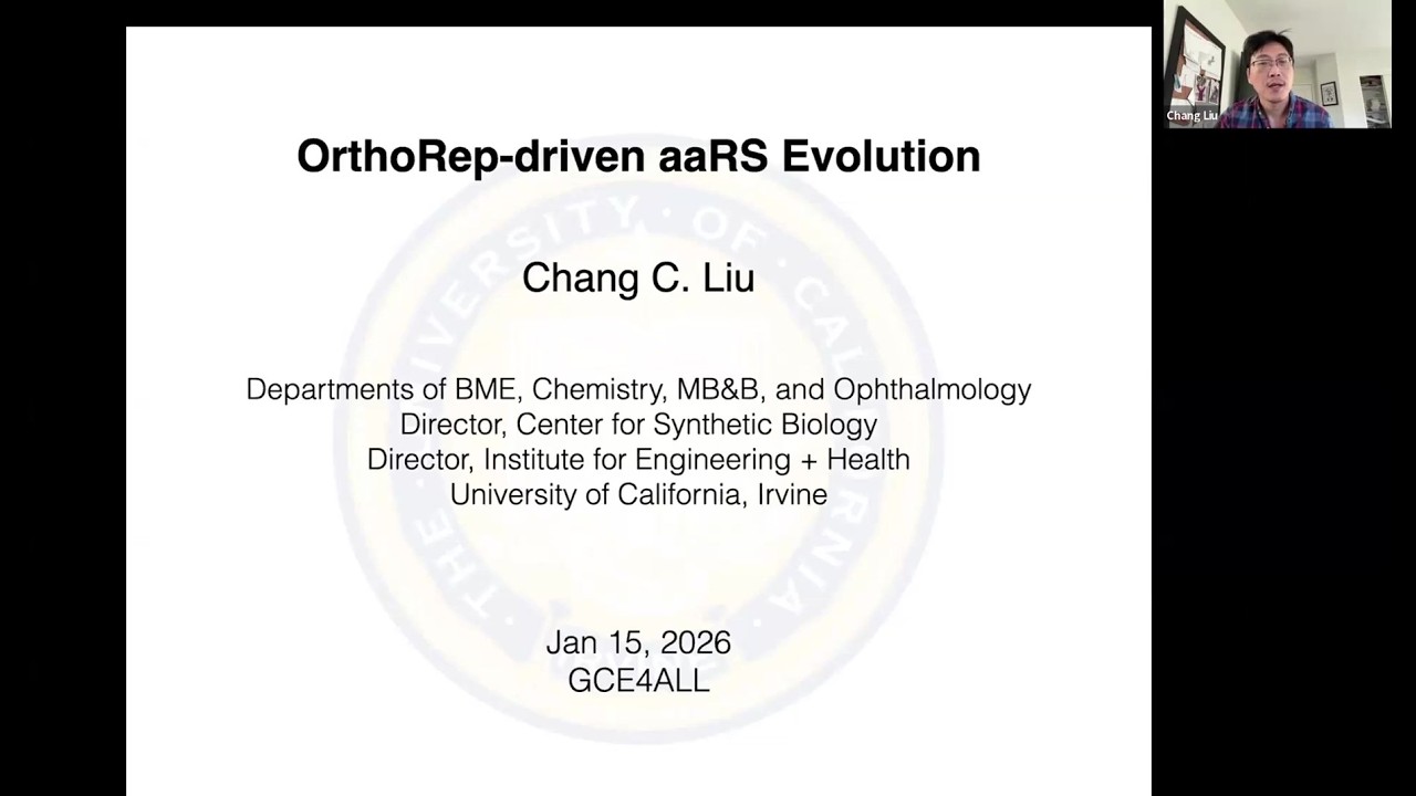 OrthoRep-Driven Evolution of Aminoacyl-tRNA Synthetases