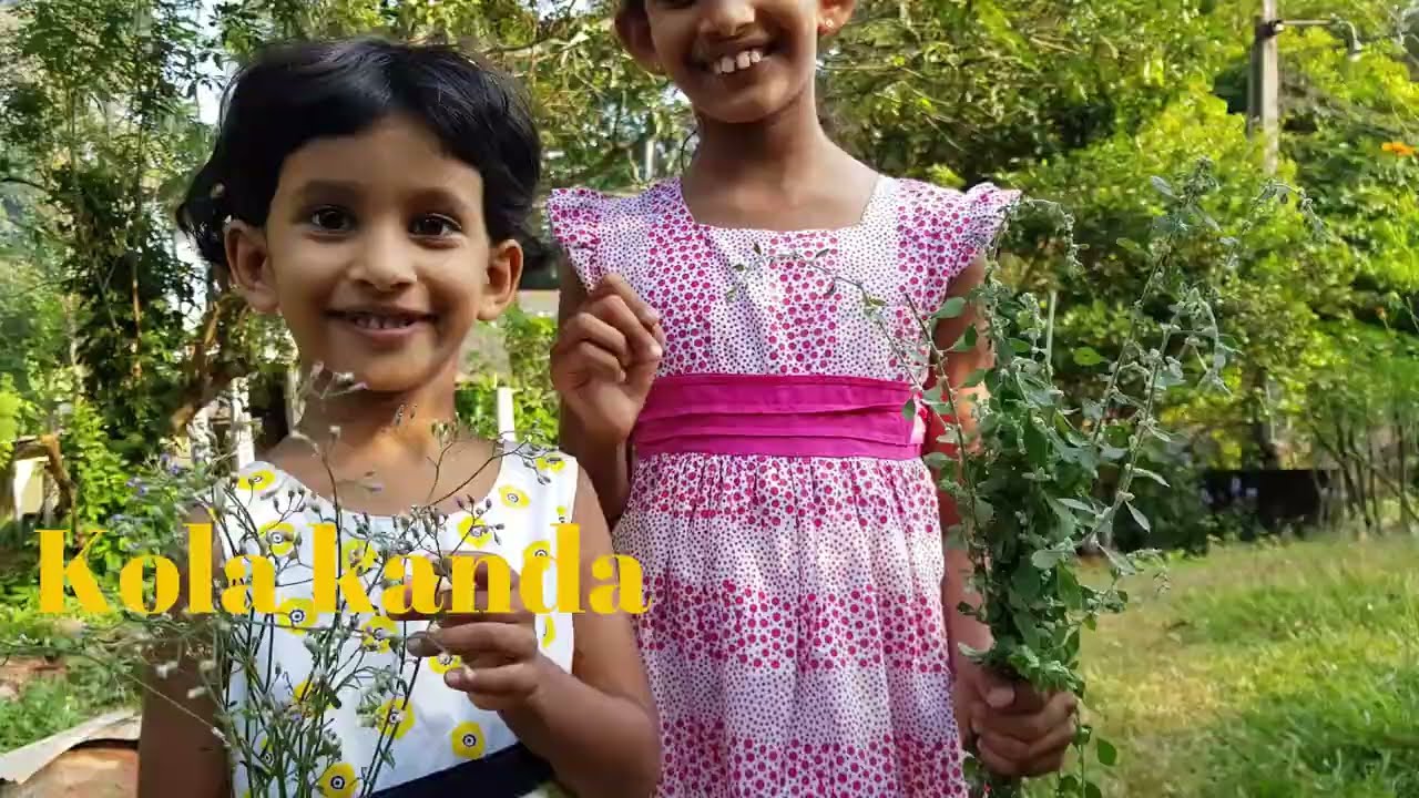 Kola kanda