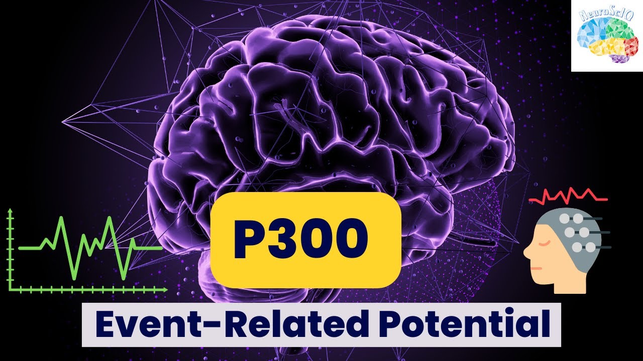 P300 Event Related Potential Explained