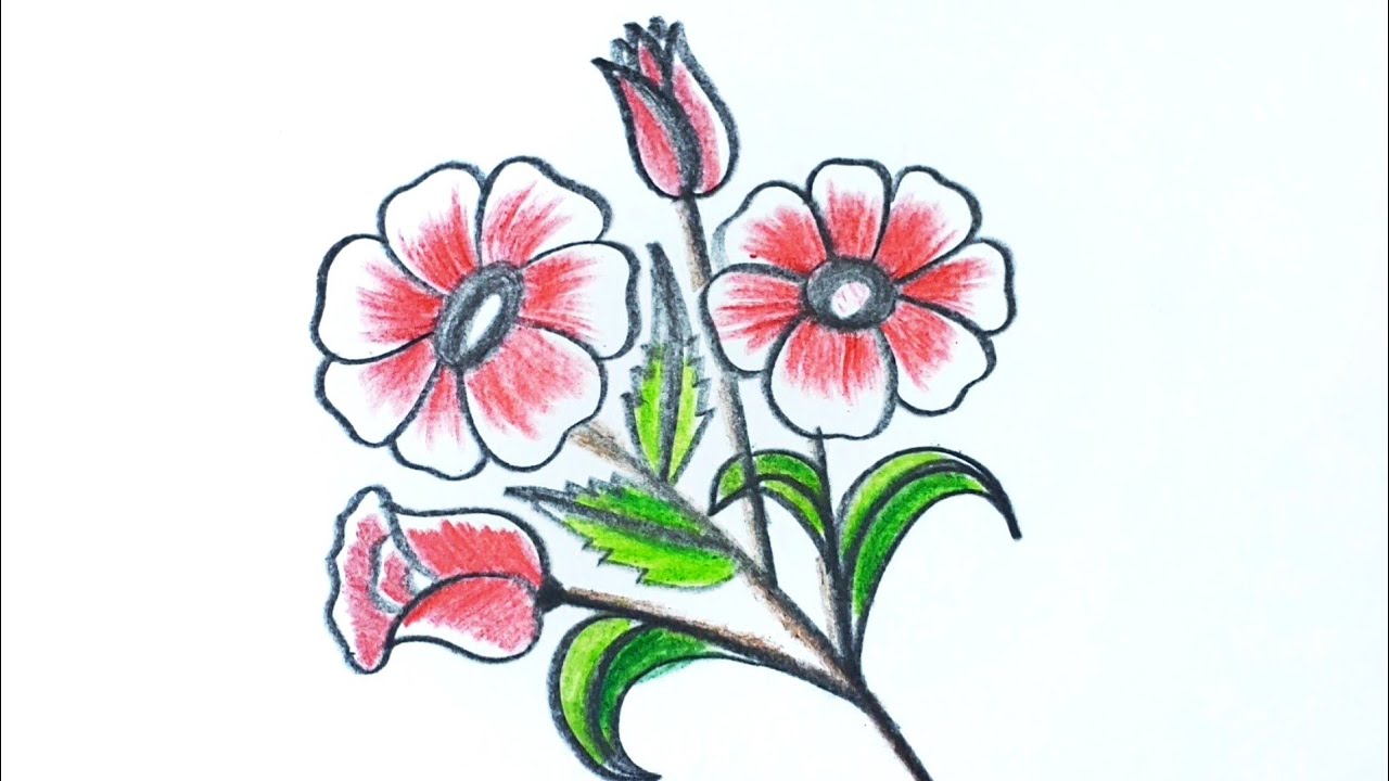 flowers drawing esaydrawing how to draw flower 