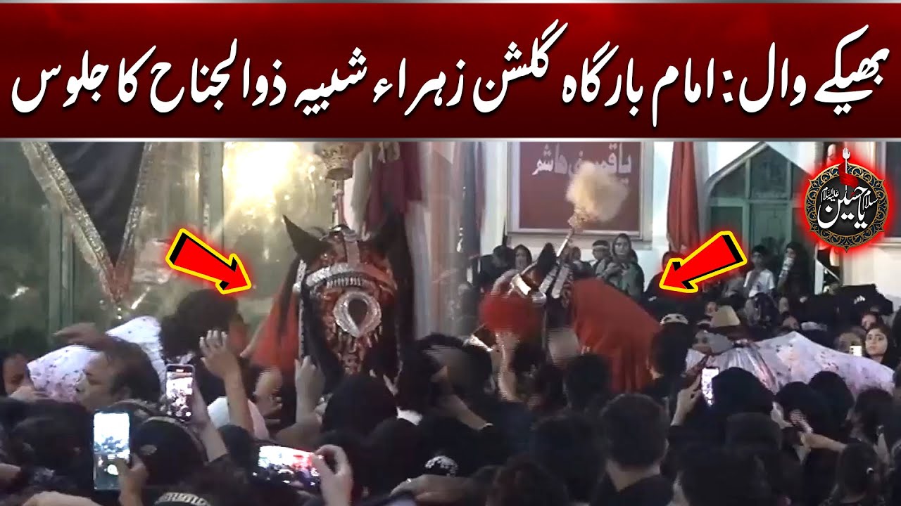 Shabih e Zuljinah Jaloos | Imam Bargah Gulshan-e-Zahra Wahdat Rd, Bhekewal | 10th Muharram 2025
