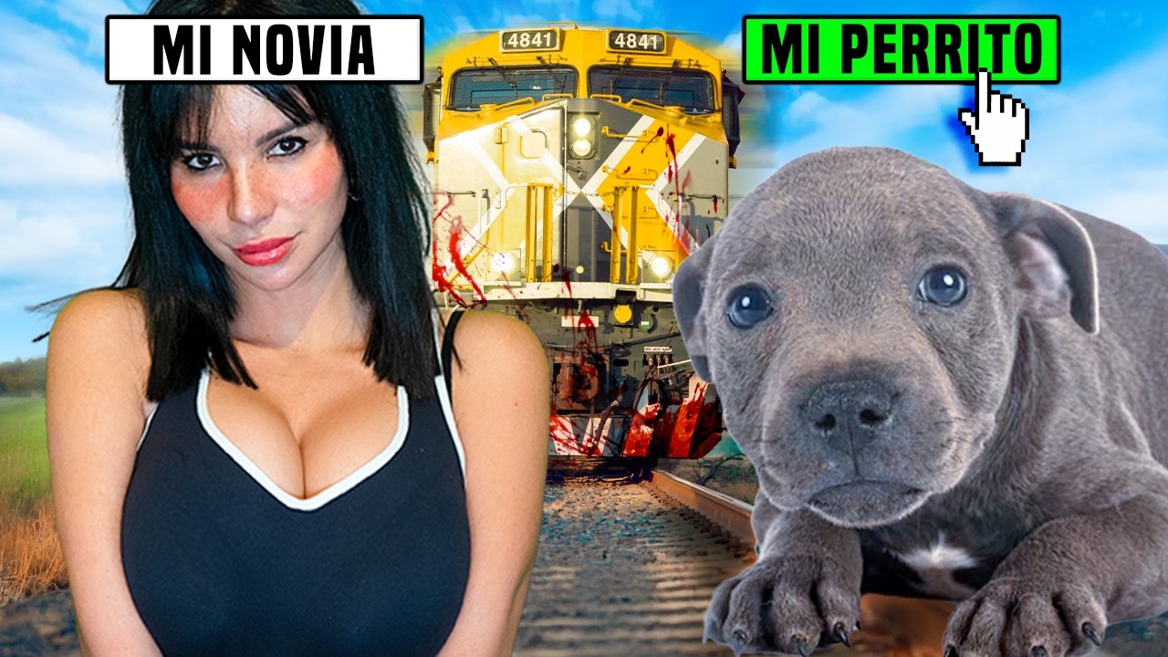 MATO A MI NOVIA O A MI PERRITO THOR ??