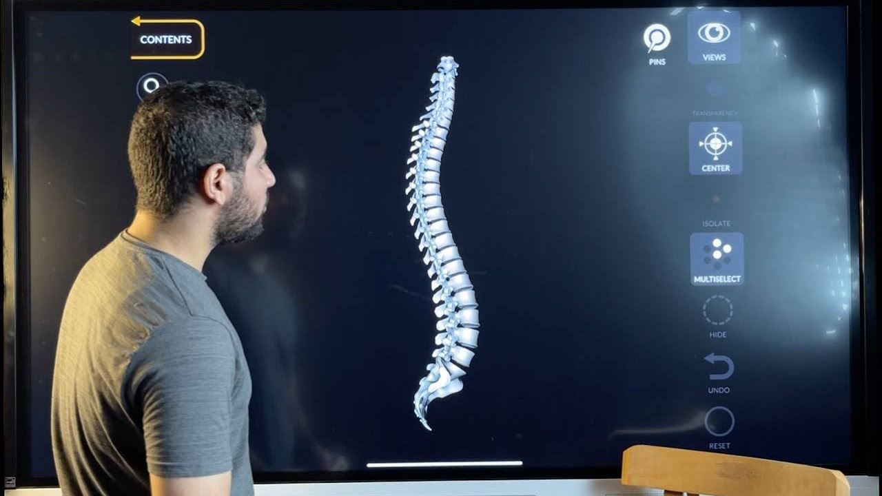 هدية  الورشة الأولى ❤️- الهيكل العظمي 3D + عظام حقيقية  💀- الجزء ١ - العمود الفقري ✅
